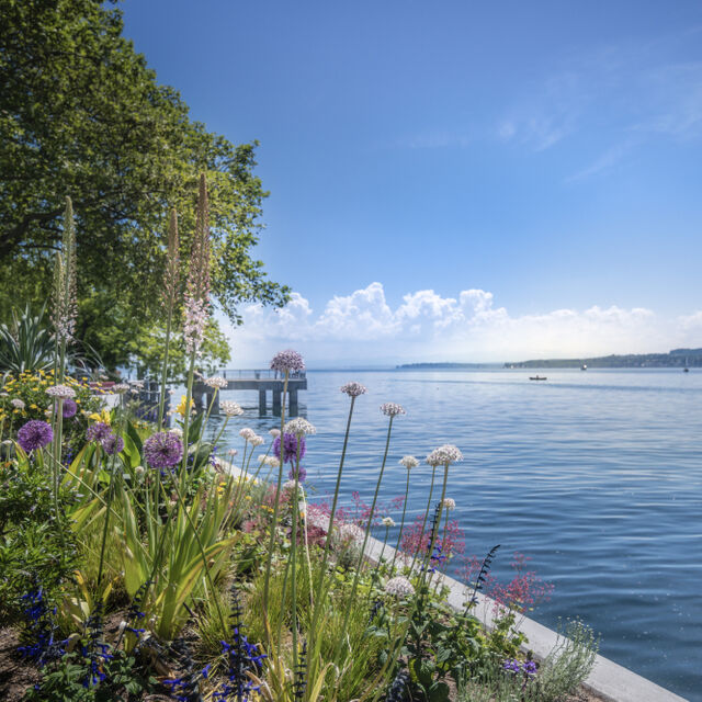Überlingen am Bodensee
